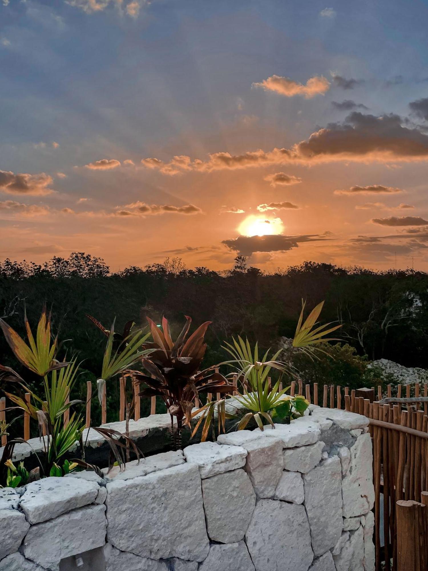 Jungle Boho Designer Apart 11 W50 Off Access Hotel Bardo Tulum Kültér fotó